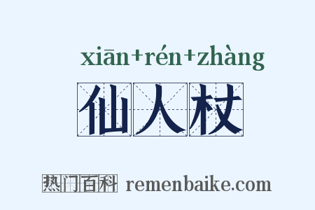 仙人杖是什么意思的图片